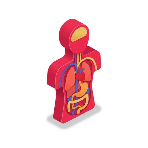 How the Human Body Works course icon