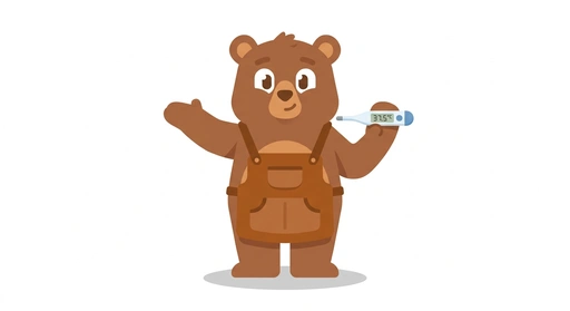 Bernoulli the Bear