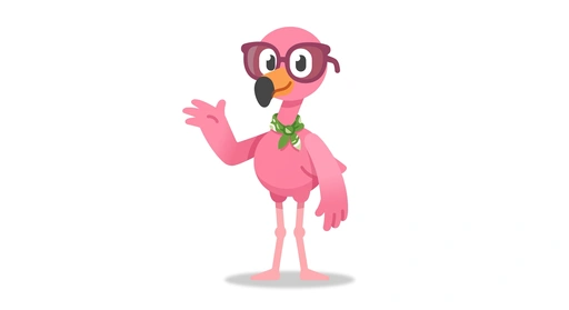 Fifi the Flamingo