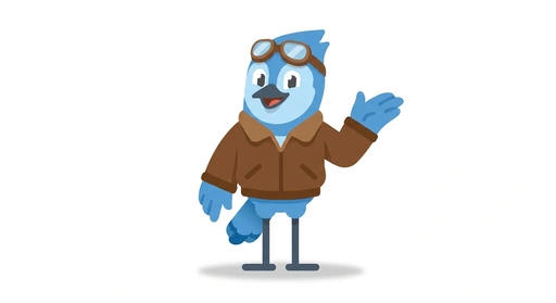 Ace the Aviator