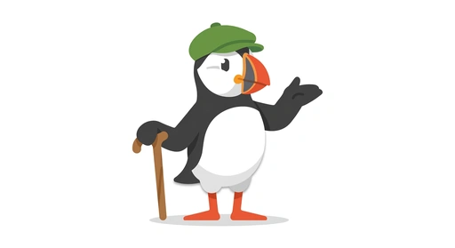 Paddy the Puffin