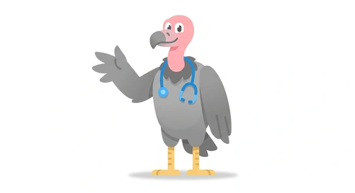 Vinnie the Vet-Tech Vulture