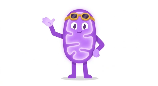 Mito the Microbe